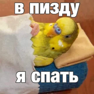 🥱