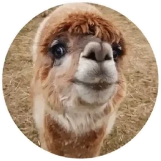🙃