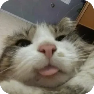 😛