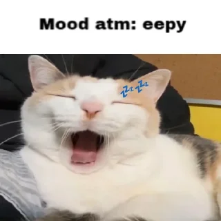 💤