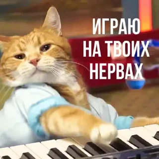 🎹
