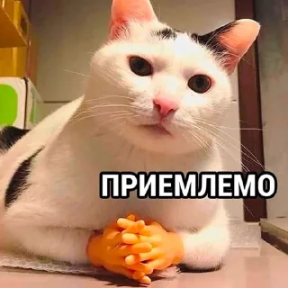 👌