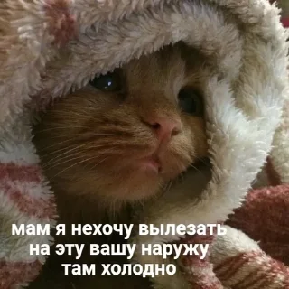 😣