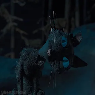 🐈‍⬛