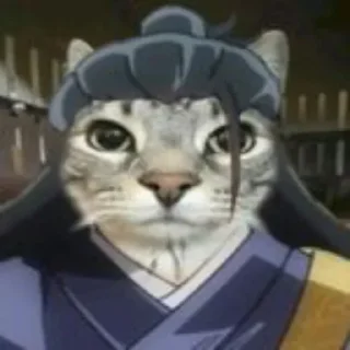 😺