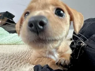 😊