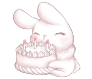 🐰