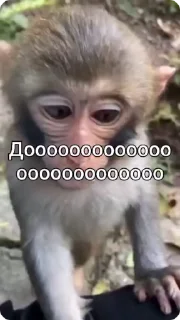 ☑