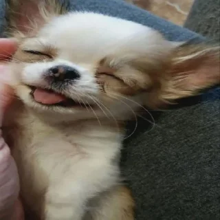 😝