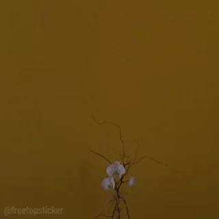😠