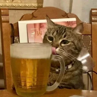 🍺