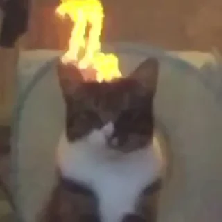 😡