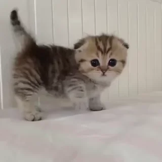 🙂
