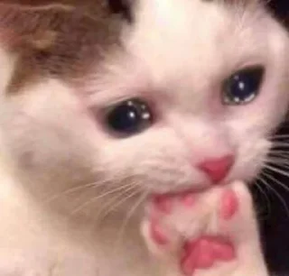 😢