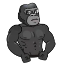 💪