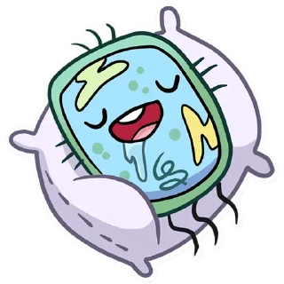 😴
