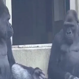 😘