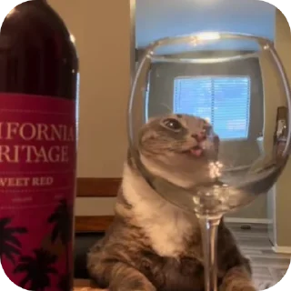 🍽