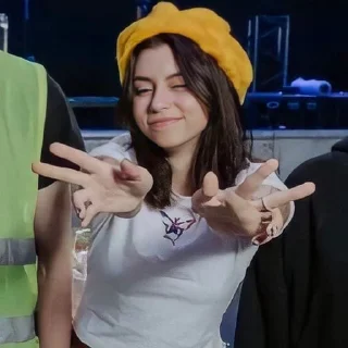 ✌