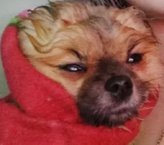 😑