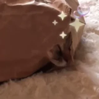 😳