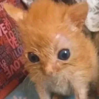 😨