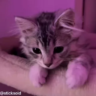 ❤️