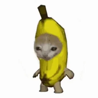 😺