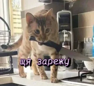 😤