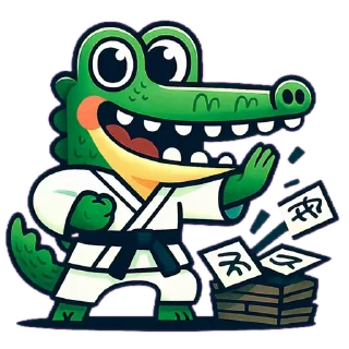 🥋