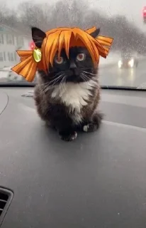 👩‍🦰