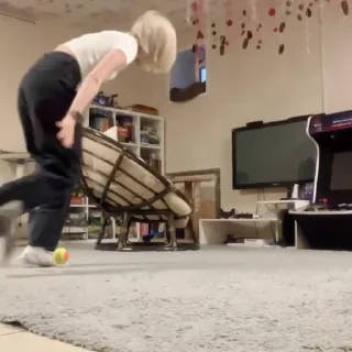 🐱