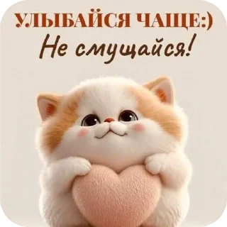 🐱
