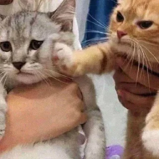 😒