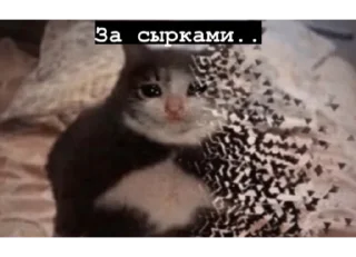👩