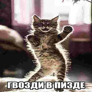 😅