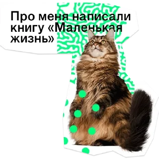 😧