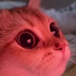 💕