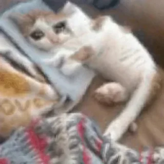 😭