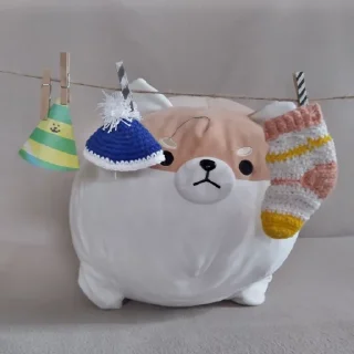 🧦
