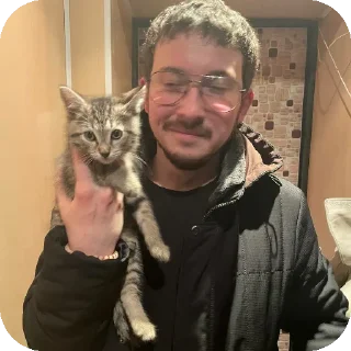 🐱