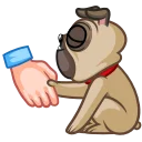 🤝