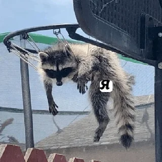 🫥