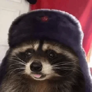 🫥