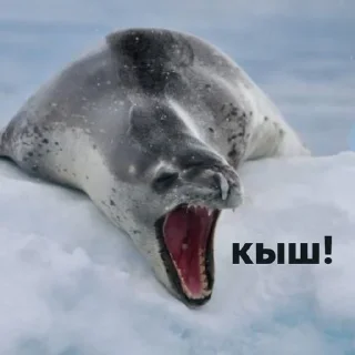 🤬