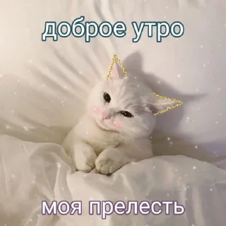 🌞