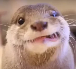 😁