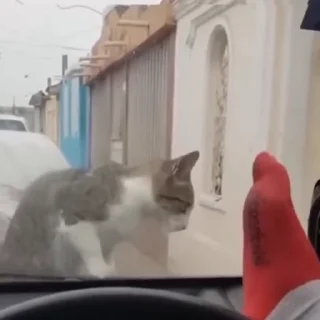😧