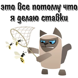 🐱