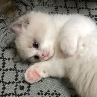 🥰
